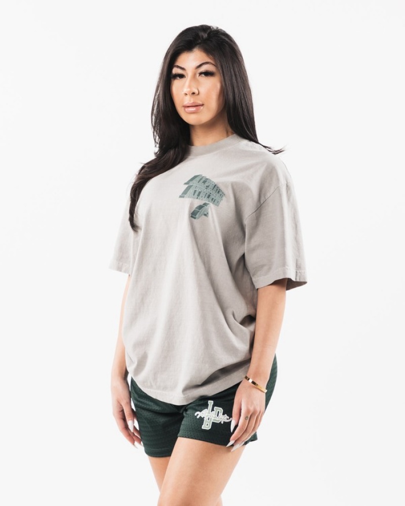 Alphalete Dimensional Uomo Camicie Argento Scuro | 37LNDARTJ