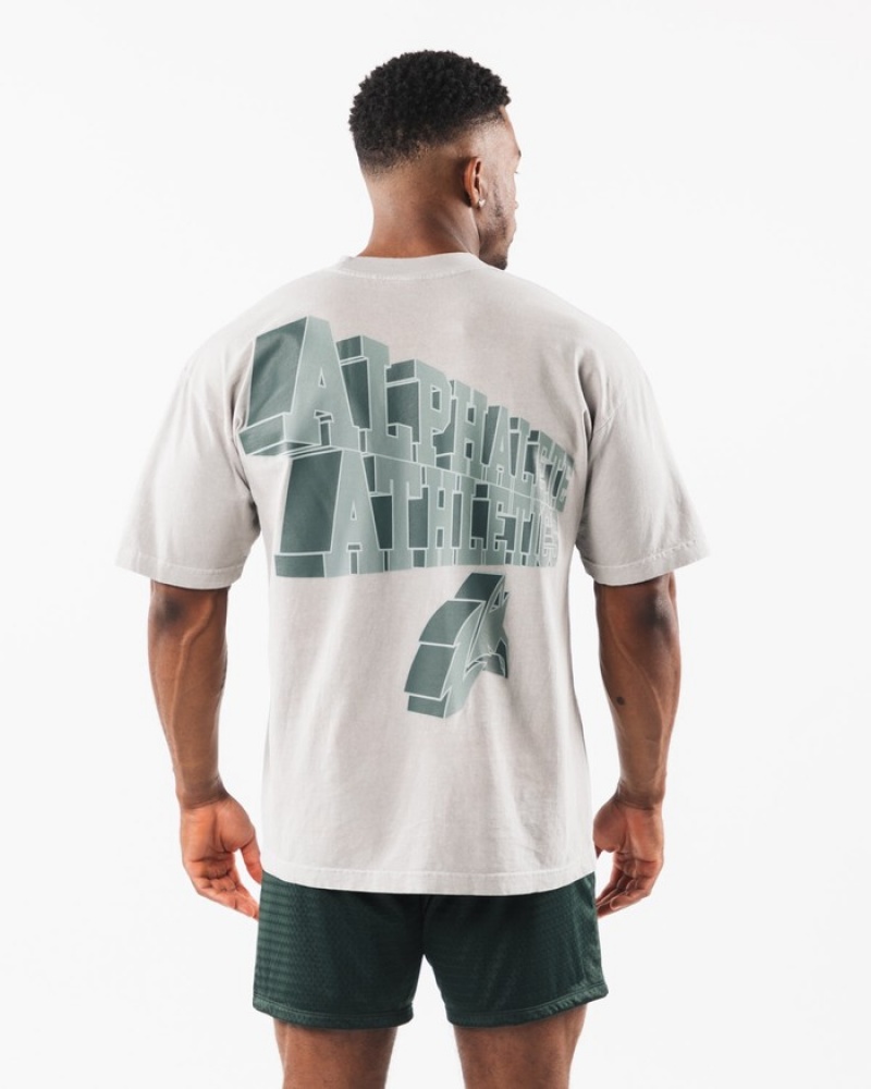 Alphalete Dimensional Uomo Camicie Argento Scuro | 37LNDARTJ