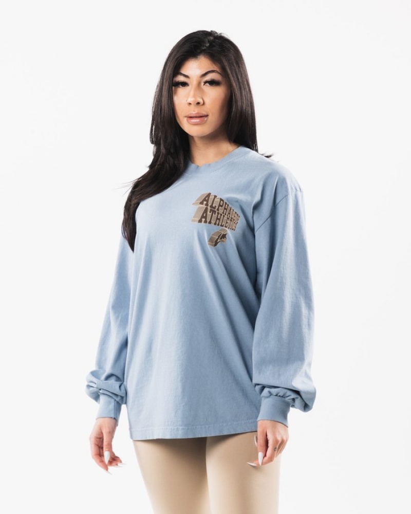 Alphalete Dimensional Uomo Camicie Blu | 07NJMQDFI