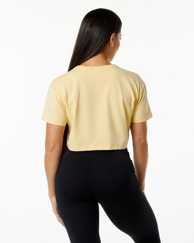 Alphalete Dynasty Crop Donna Camicie Beige | 76GHVSOLU