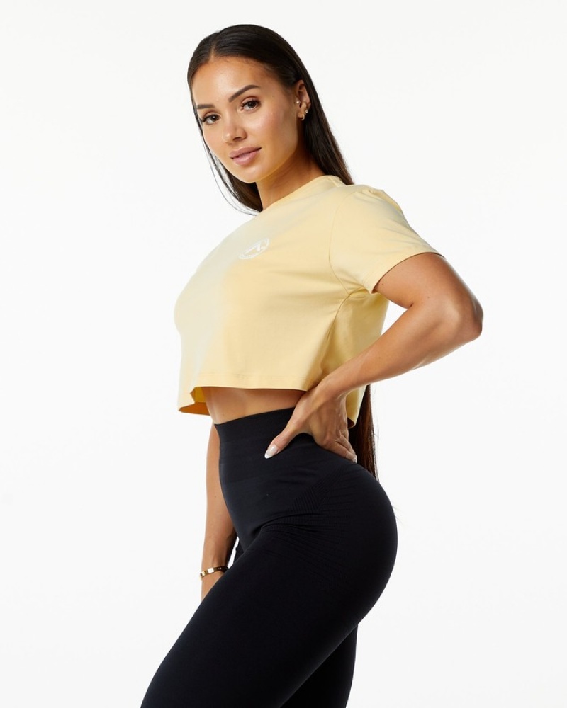 Alphalete Dynasty Crop Donna Camicie Beige | 76GHVSOLU