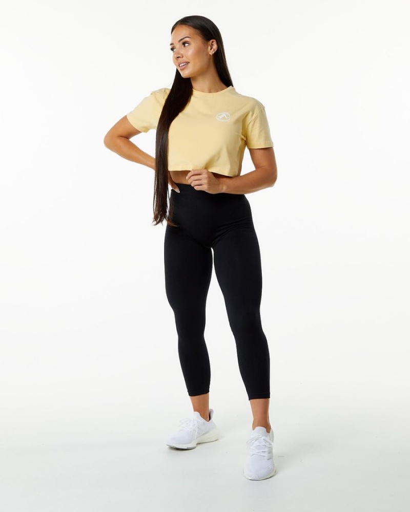 Alphalete Dynasty Crop Donna Camicie Beige | 76GHVSOLU