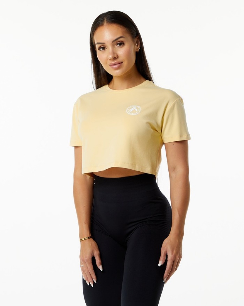 Alphalete Dynasty Crop Donna Camicie Beige | 76GHVSOLU