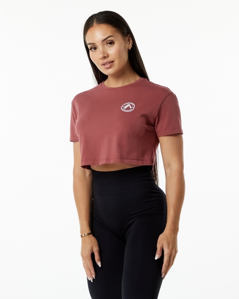 Alphalete Dynasty Crop Donna Camicie Bordeaux | 96EGLFVNR
