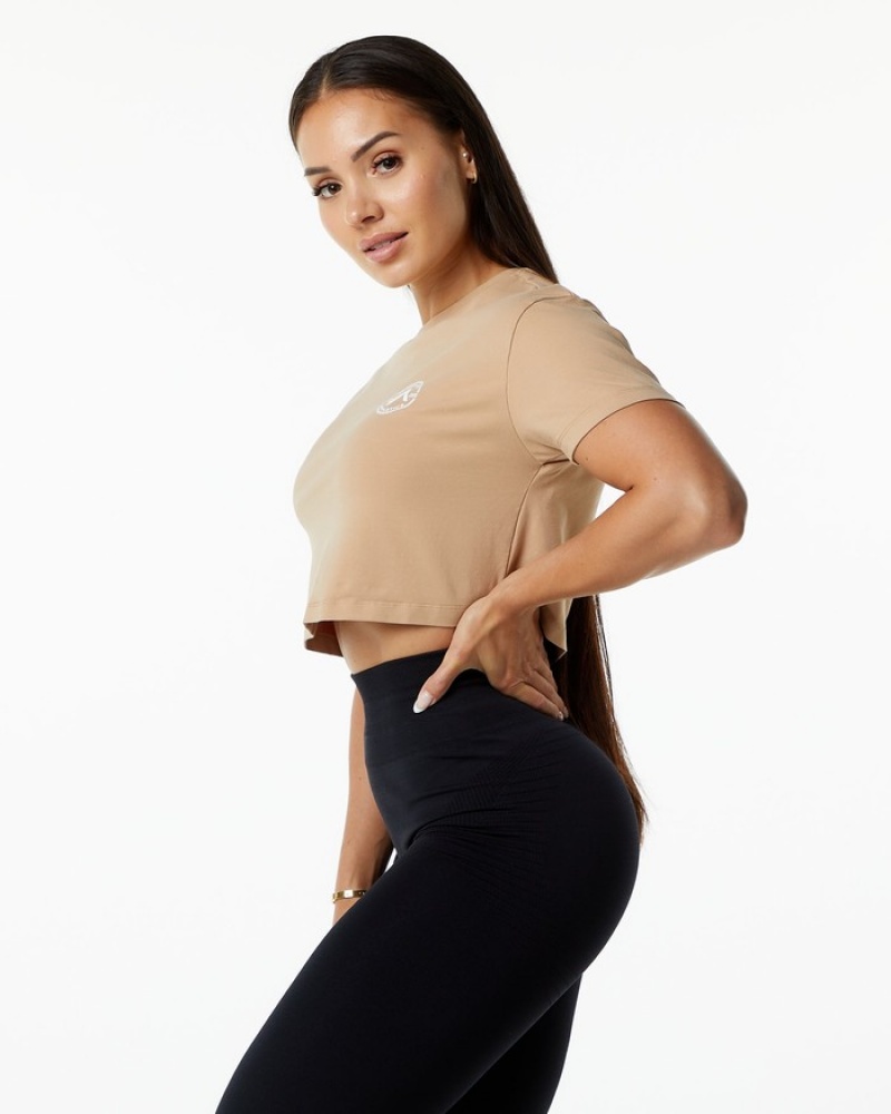 Alphalete Dynasty Crop Donna Camicie Grigie Marroni | 64CRHXITV