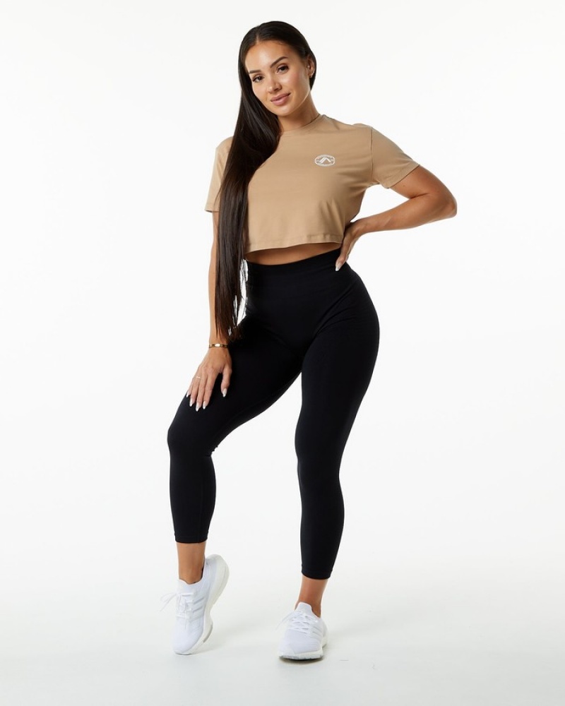 Alphalete Dynasty Crop Donna Camicie Grigie Marroni | 64CRHXITV