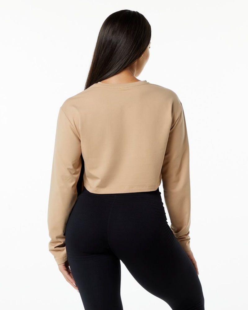 Alphalete Dynasty LS Crop Donna Magliette Grigie Marroni | 78RJMBELX