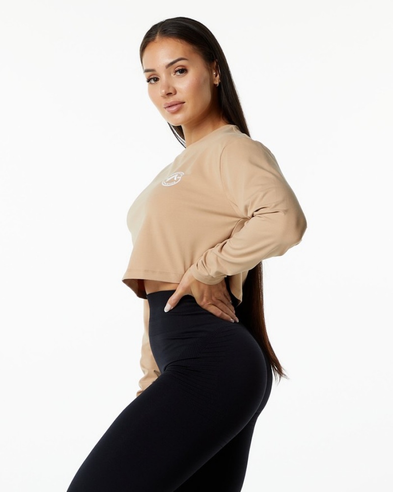 Alphalete Dynasty LS Crop Donna Magliette Grigie Marroni | 78RJMBELX