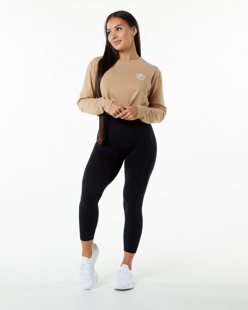 Alphalete Dynasty LS Crop Donna Magliette Grigie Marroni | 78RJMBELX