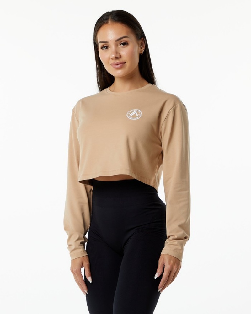 Alphalete Dynasty LS Crop Donna Magliette Grigie Marroni | 78RJMBELX