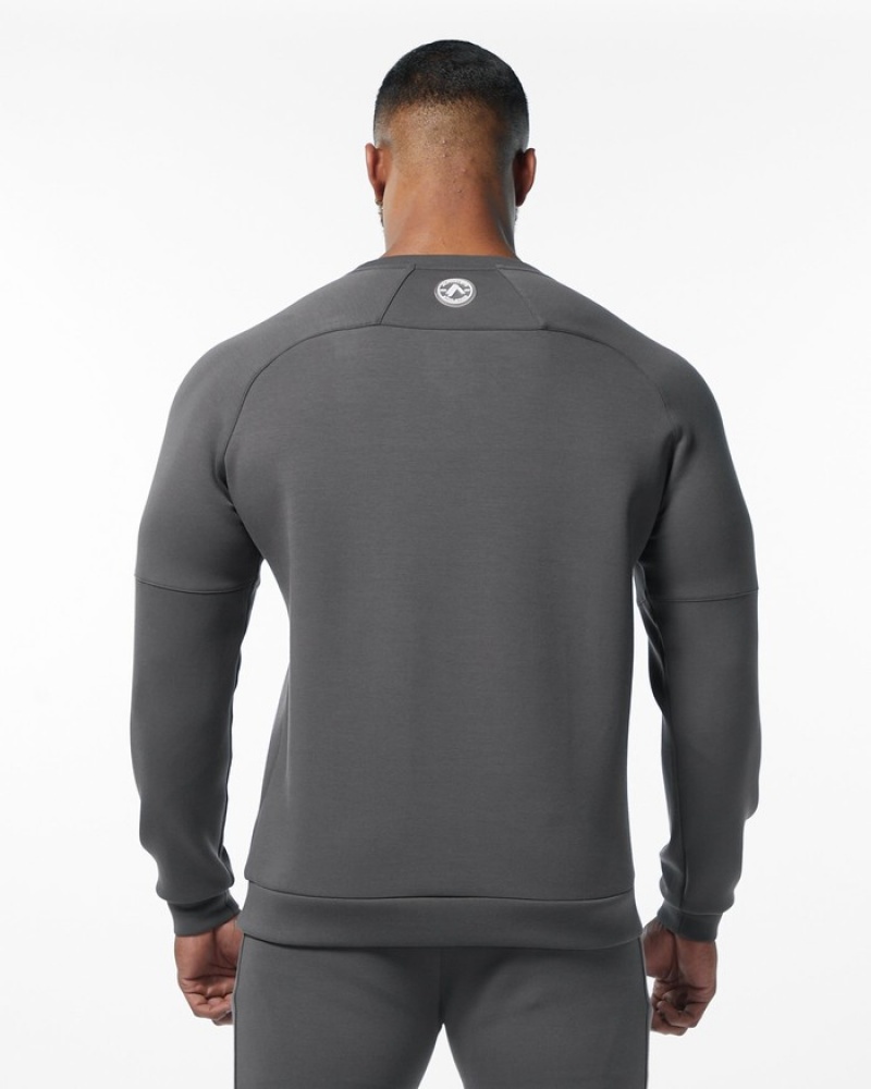 Alphalete ELMTS Crewneck Uomo Felpa Grigie | 07NMKZXEJ