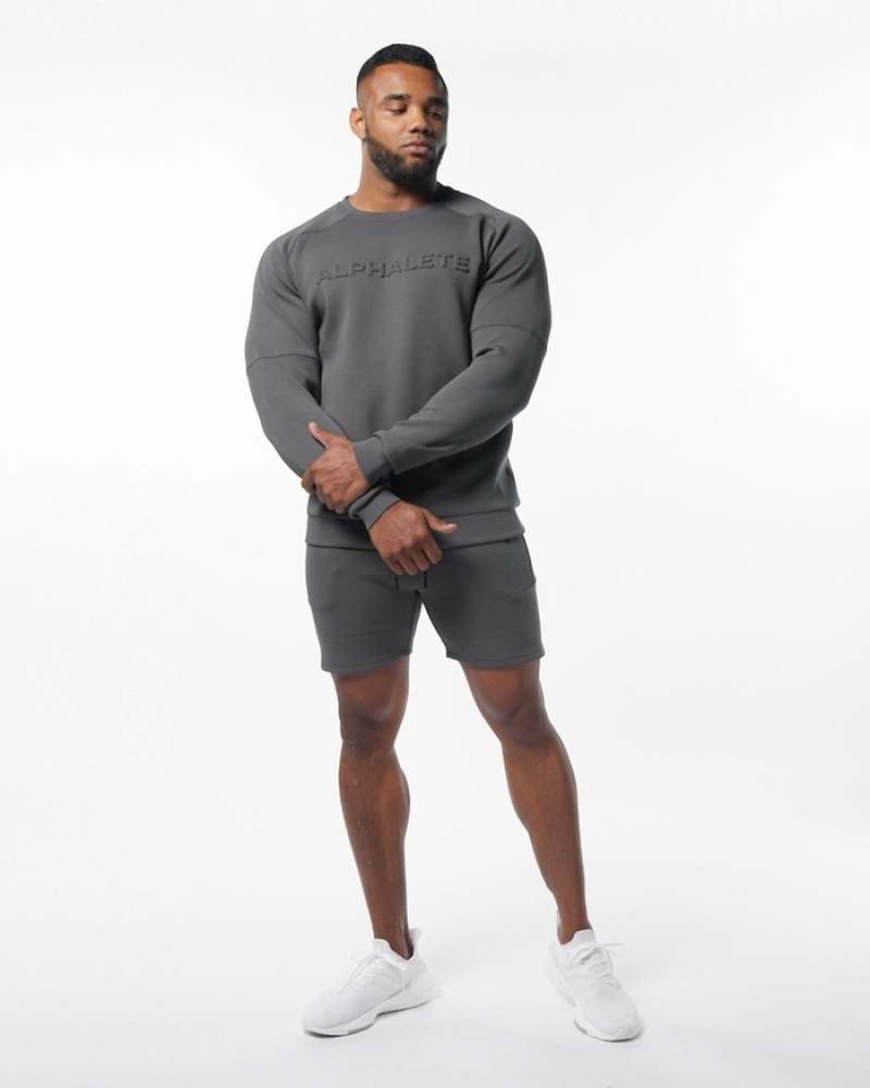 Alphalete ELMTS Crewneck Uomo Felpa Grigie | 07NMKZXEJ