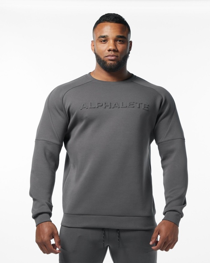 Alphalete ELMTS Crewneck Uomo Felpa Grigie | 07NMKZXEJ