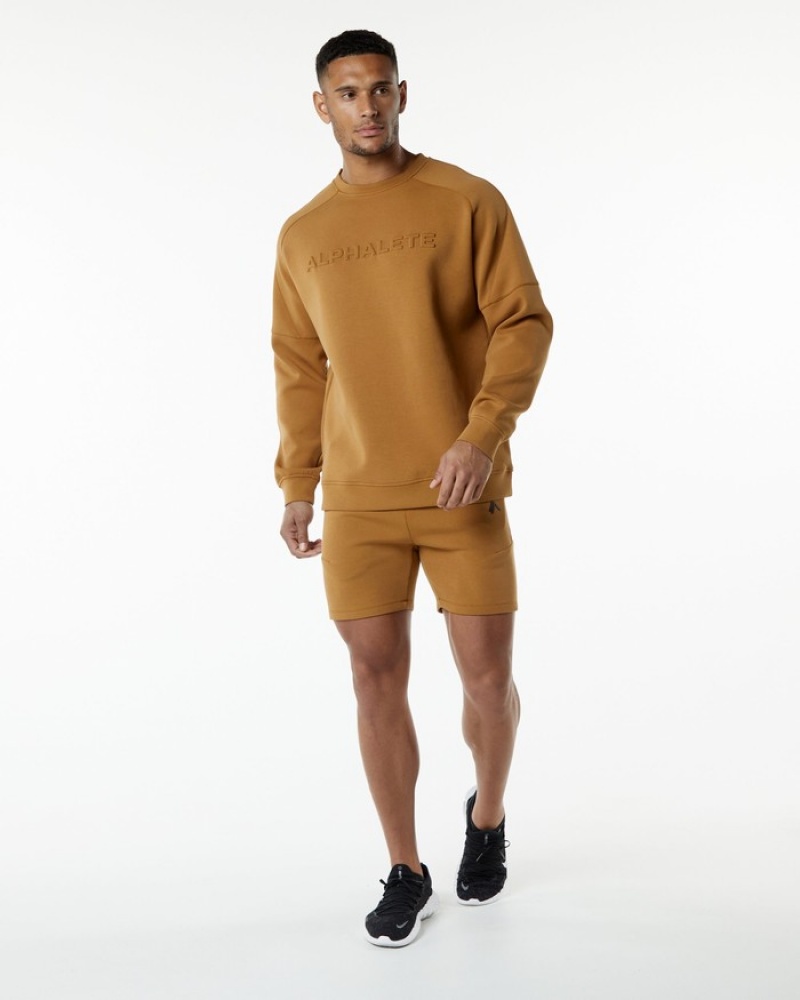 Alphalete ELMTS Crewneck Uomo Felpa Khaki | 74GCLOKDF