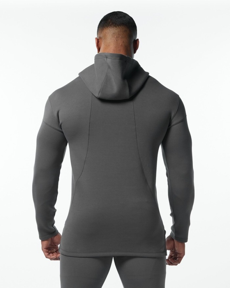 Alphalete ELMTS Fitted Uomo Felpa Con Cappuccio Grigie | 05TEPYZDC