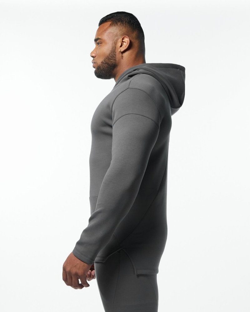 Alphalete ELMTS Fitted Uomo Felpa Con Cappuccio Grigie | 05TEPYZDC