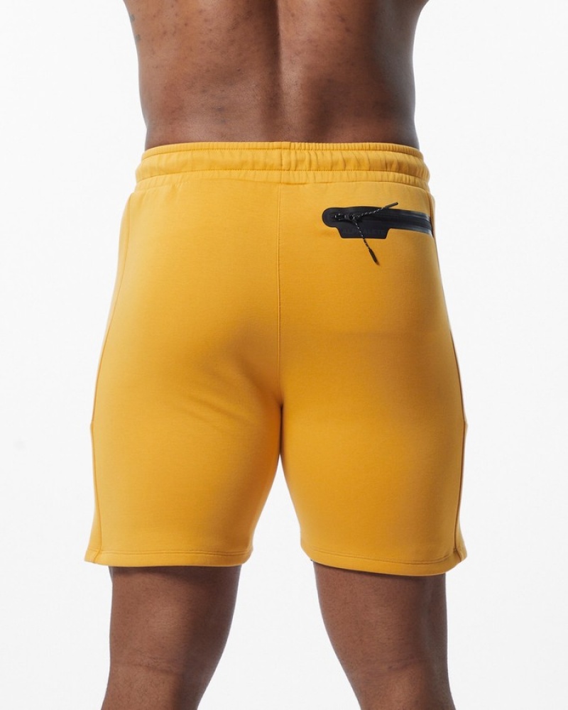 Alphalete ELMTS Ginnastica 6