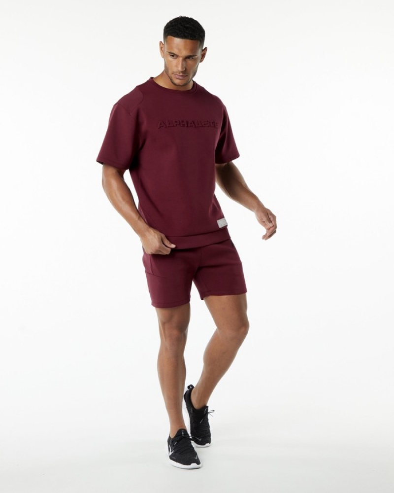 Alphalete ELMTS Ginnastica 6