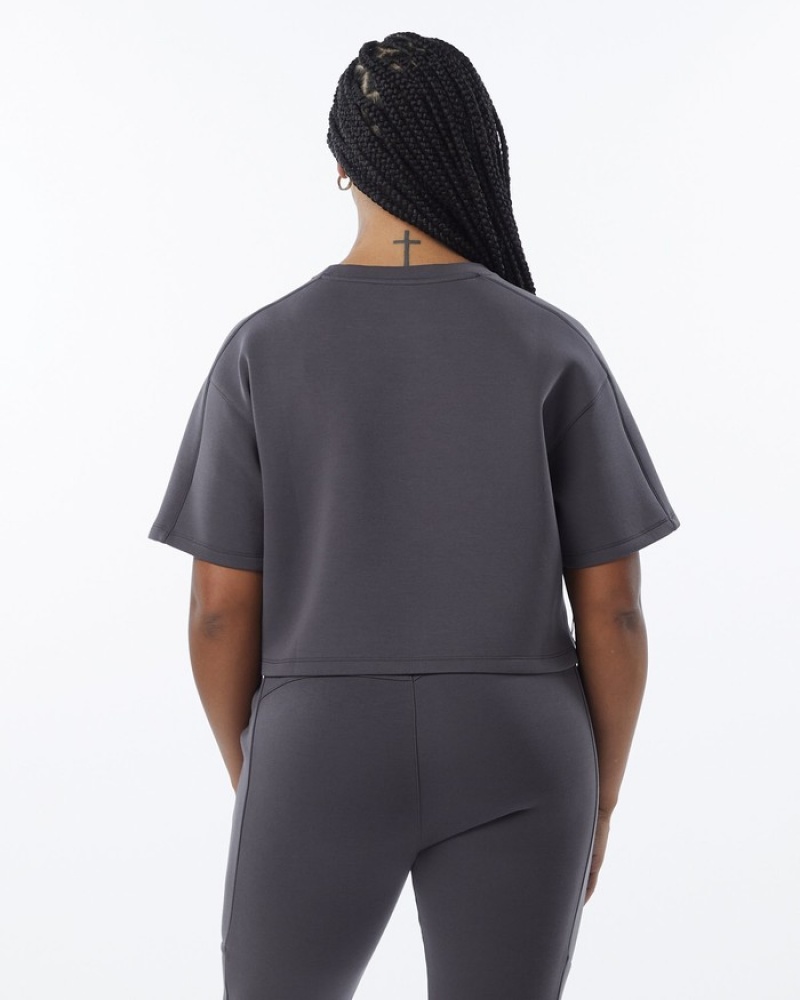Alphalete ELMTS Half Sleeve Pullover Donna Felpa Grigie | 09MFGABZJ