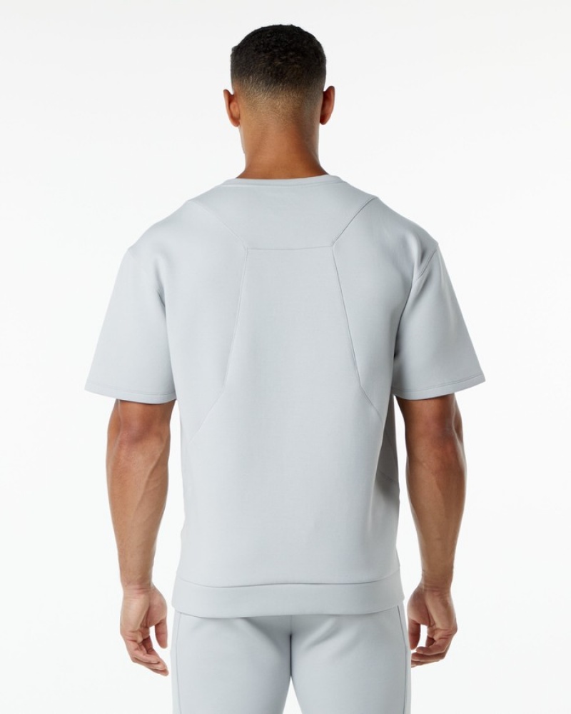 Alphalete ELMTS Half Sleeve Pullover Uomo Felpa Grigie | 18VEIKBRQ