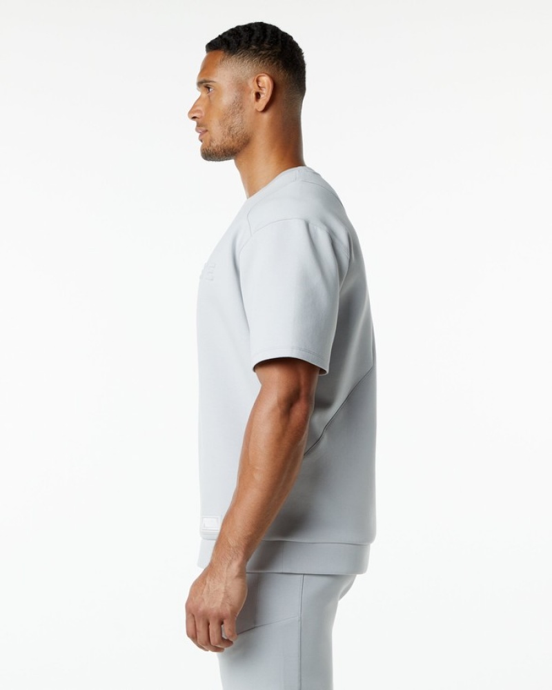 Alphalete ELMTS Half Sleeve Pullover Uomo Felpa Grigie | 18VEIKBRQ