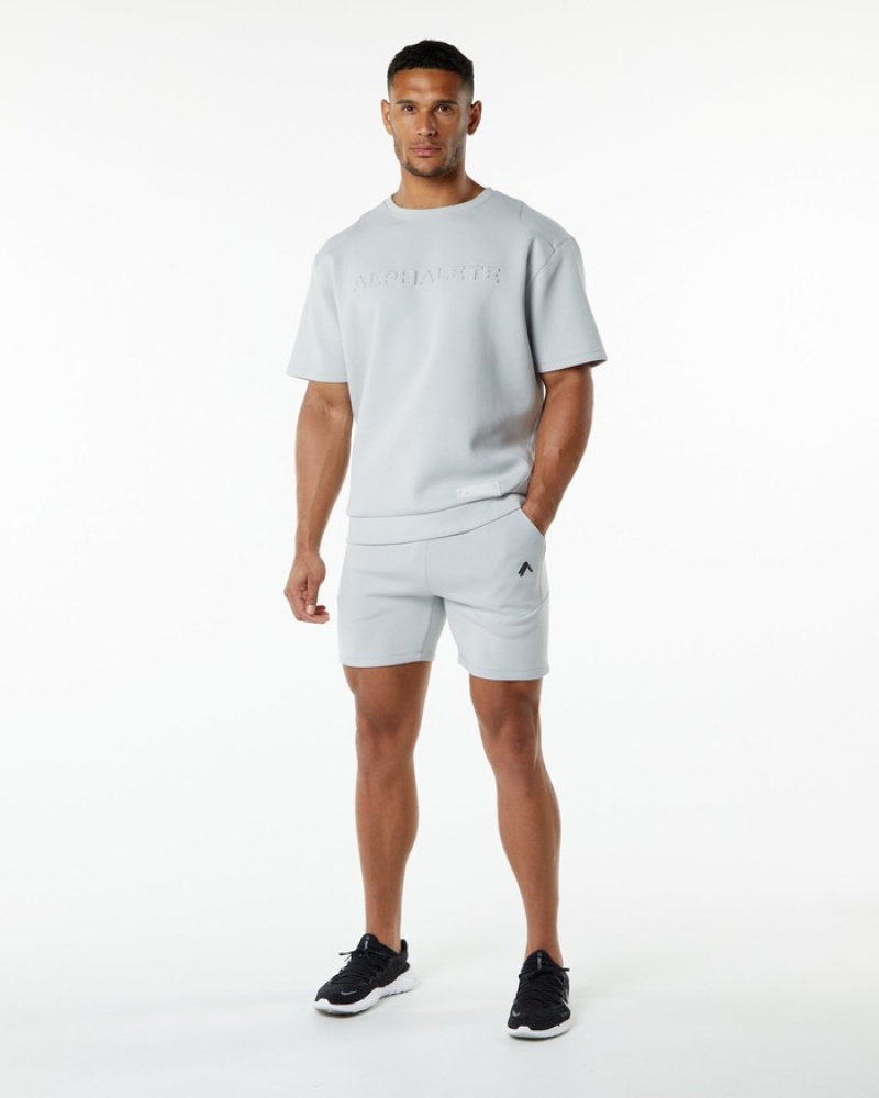 Alphalete ELMTS Half Sleeve Pullover Uomo Felpa Grigie | 18VEIKBRQ