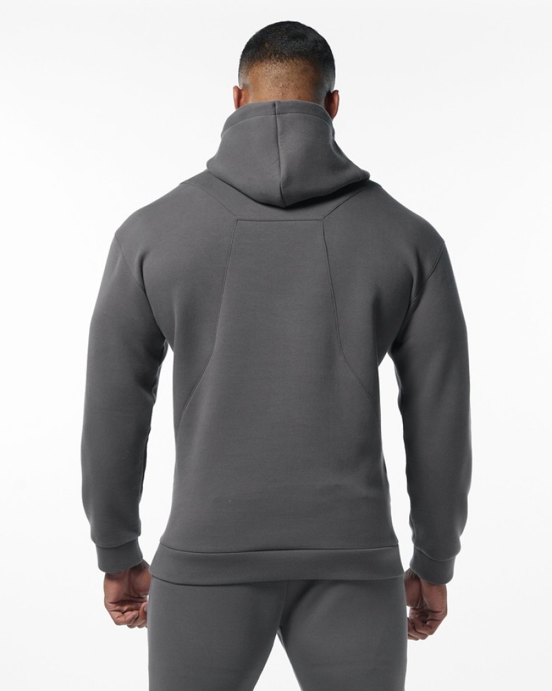 Alphalete ELMTS Uomo Felpa Con Cappuccio Grigie | 03RHUABMQ