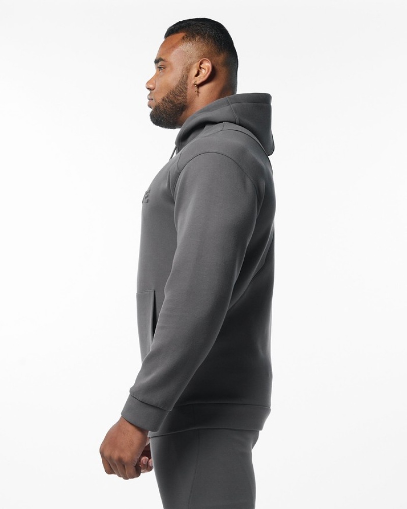 Alphalete ELMTS Uomo Felpa Con Cappuccio Grigie | 03RHUABMQ