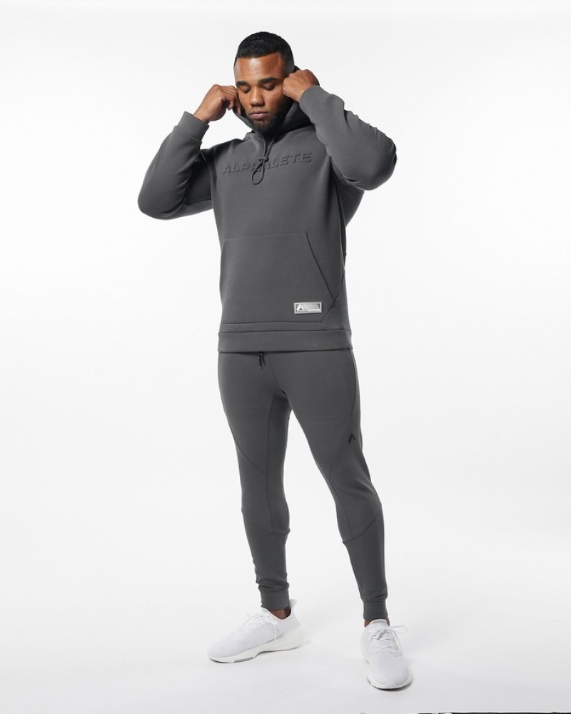 Alphalete ELMTS Uomo Felpa Con Cappuccio Grigie | 03RHUABMQ