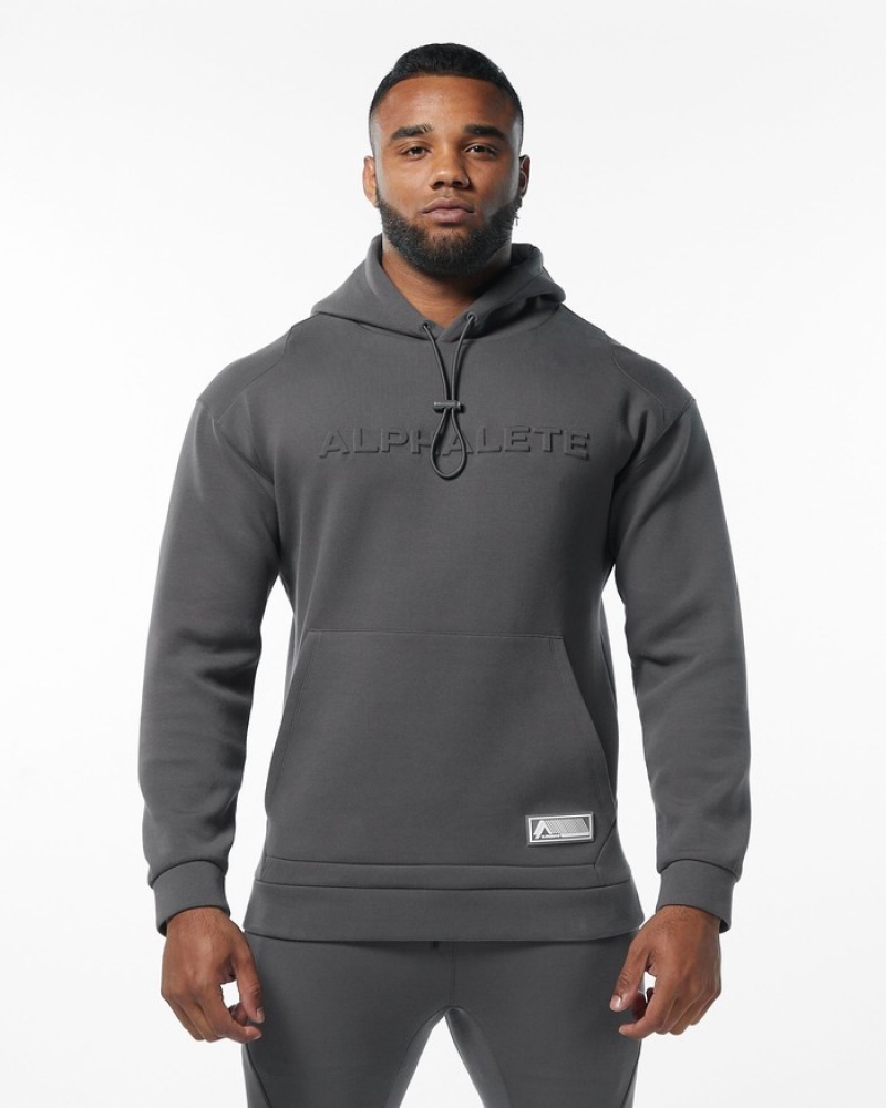 Alphalete ELMTS Uomo Felpa Con Cappuccio Grigie | 03RHUABMQ
