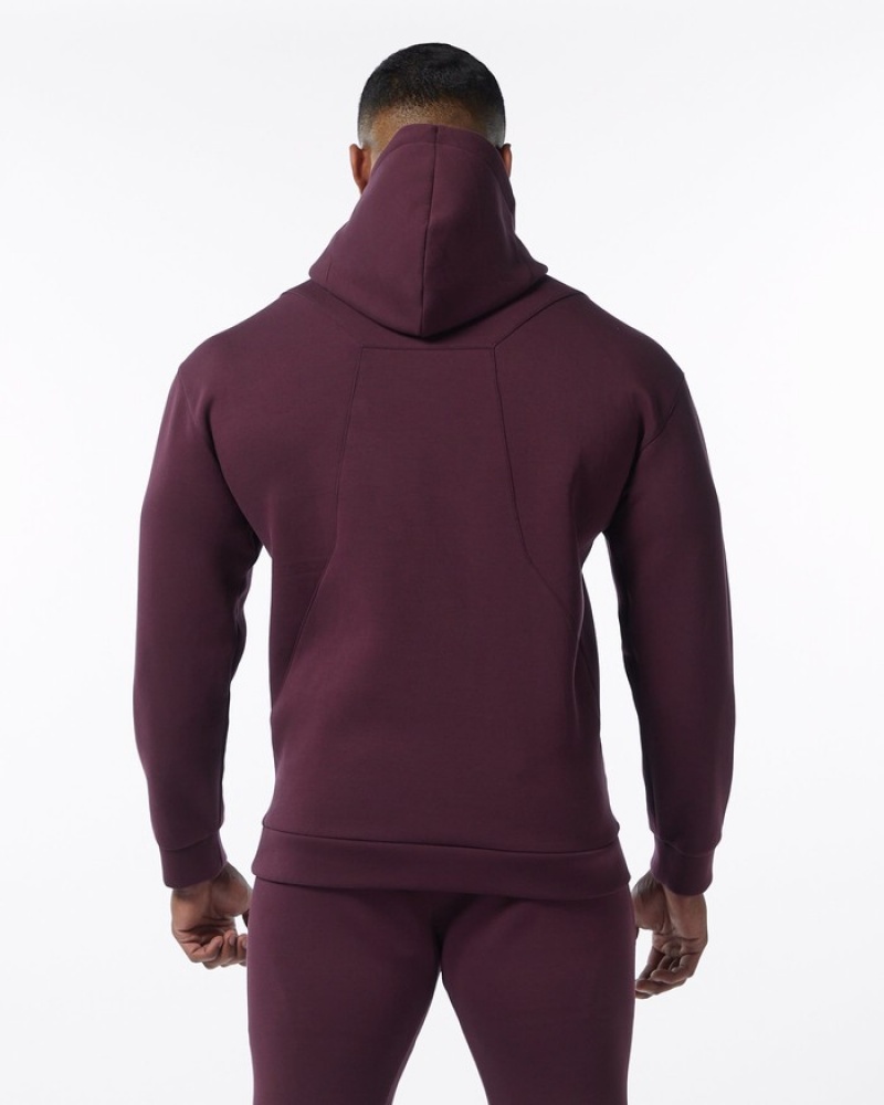 Alphalete ELMTS Uomo Felpa Con Cappuccio Bordeaux | 48VBIHNME