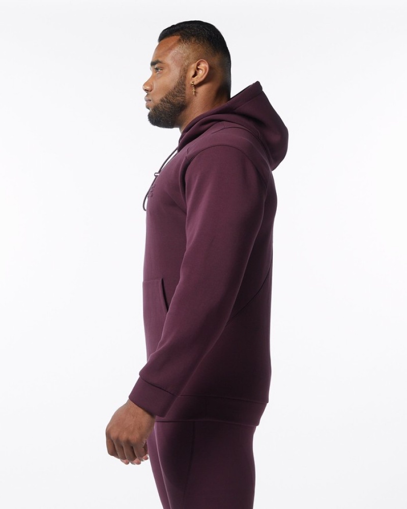 Alphalete ELMTS Uomo Felpa Con Cappuccio Bordeaux | 48VBIHNME