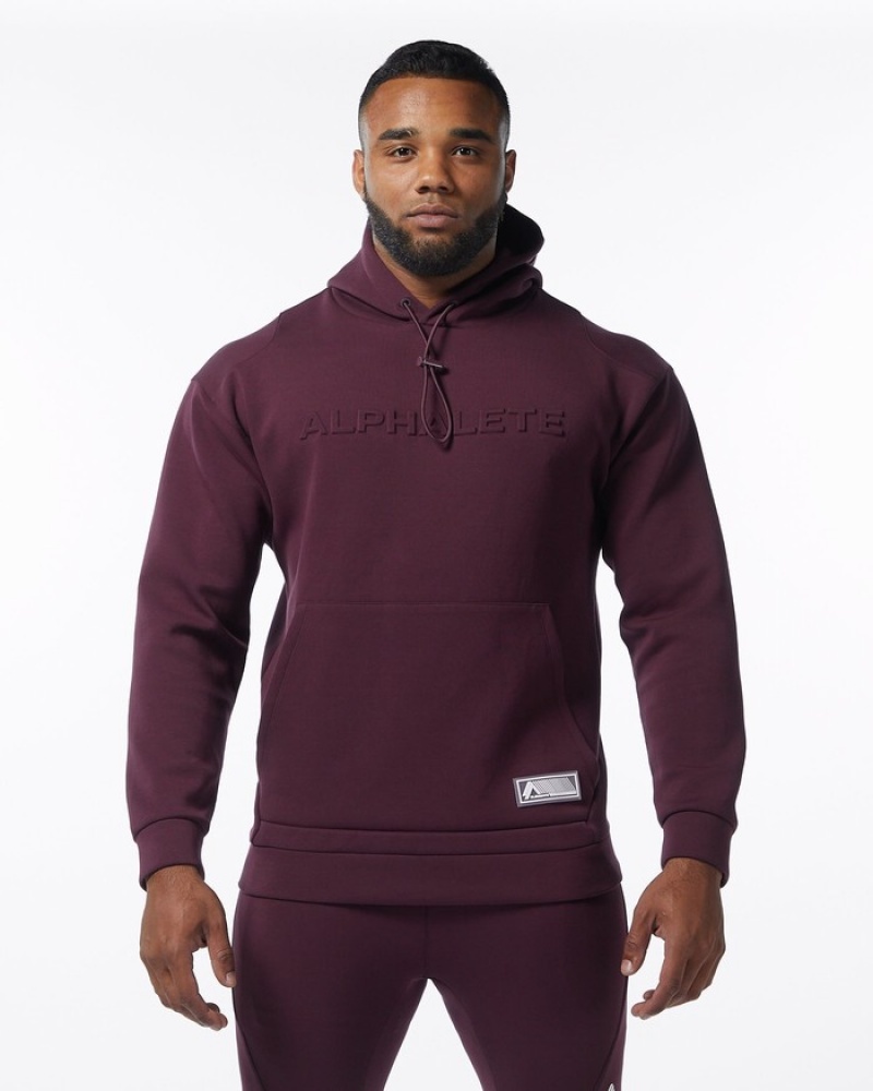 Alphalete ELMTS Uomo Felpa Con Cappuccio Bordeaux | 48VBIHNME