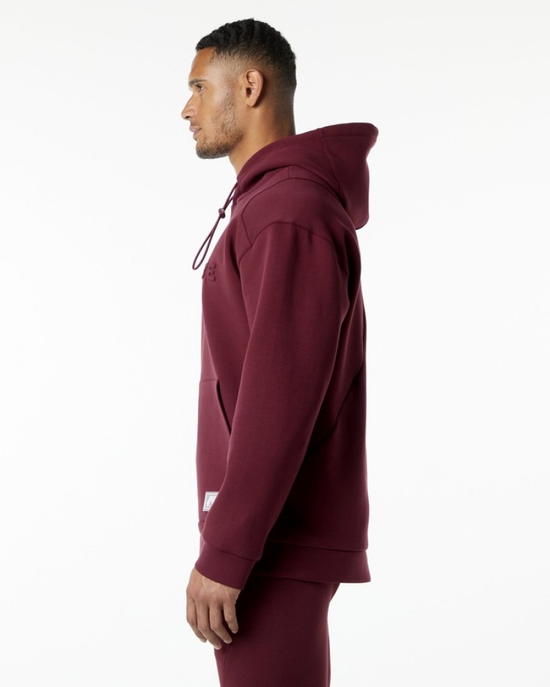 Alphalete ELMTS Uomo Felpa Con Cappuccio Bordeaux | 62BOHPQLX