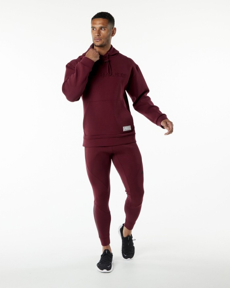Alphalete ELMTS Uomo Felpa Con Cappuccio Bordeaux | 62BOHPQLX