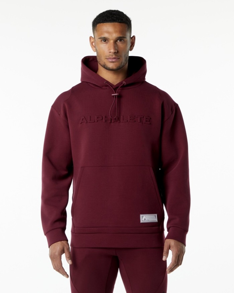 Alphalete ELMTS Uomo Felpa Con Cappuccio Bordeaux | 62BOHPQLX