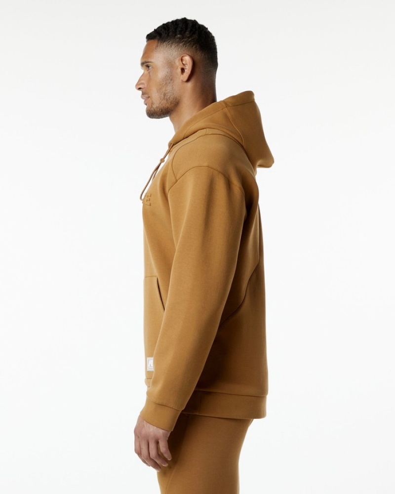 Alphalete ELMTS Uomo Felpa Con Cappuccio Khaki | 86AQBVMUH