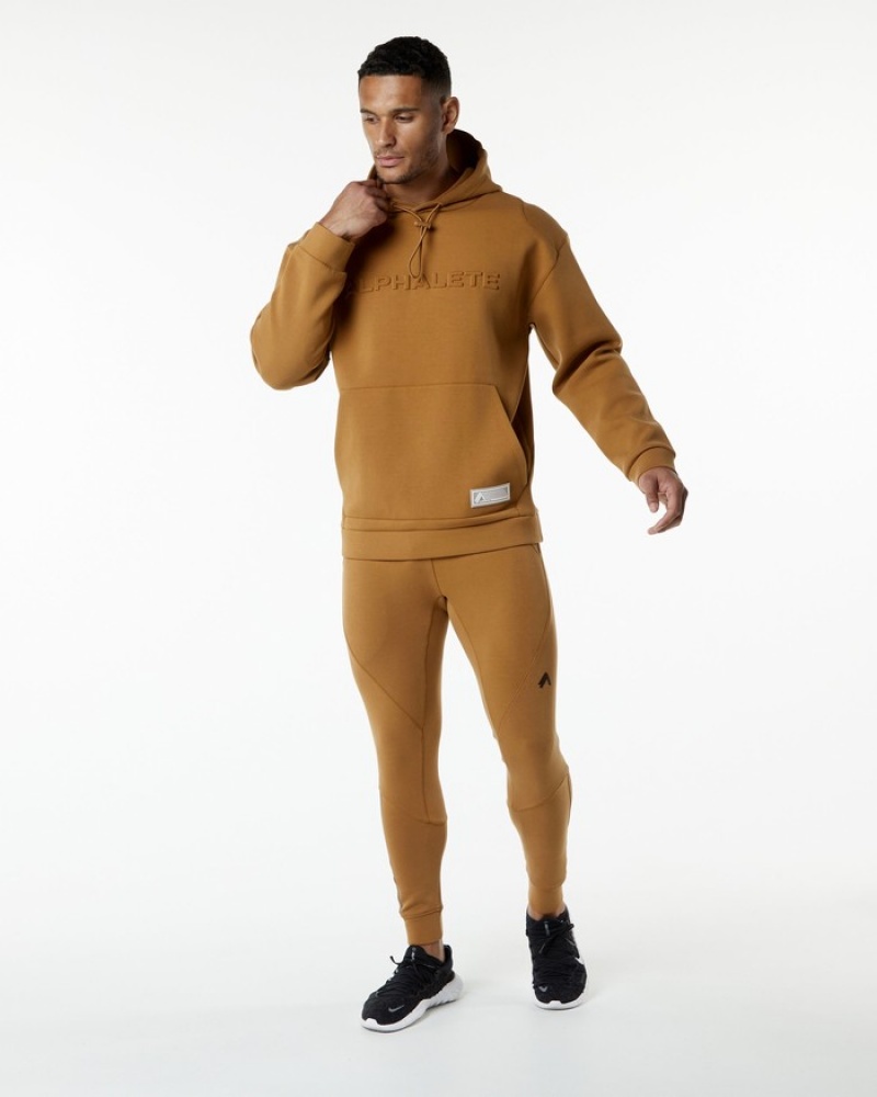 Alphalete ELMTS Uomo Felpa Con Cappuccio Khaki | 86AQBVMUH