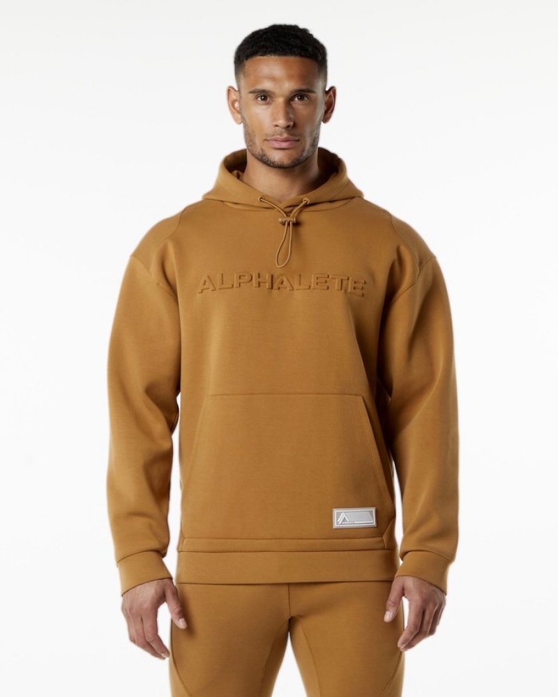Alphalete ELMTS Uomo Felpa Con Cappuccio Khaki | 86AQBVMUH
