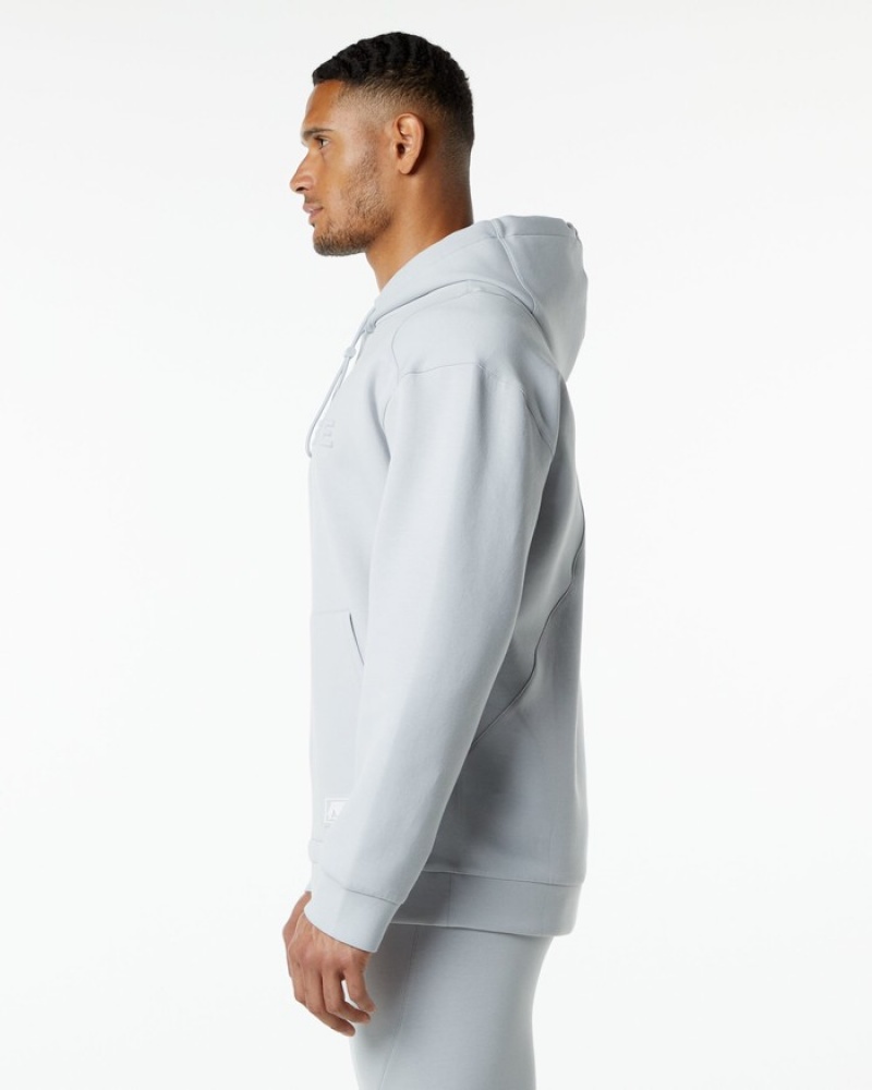 Alphalete ELMTS Uomo Felpa Con Cappuccio Grigie | 30ROTINDY