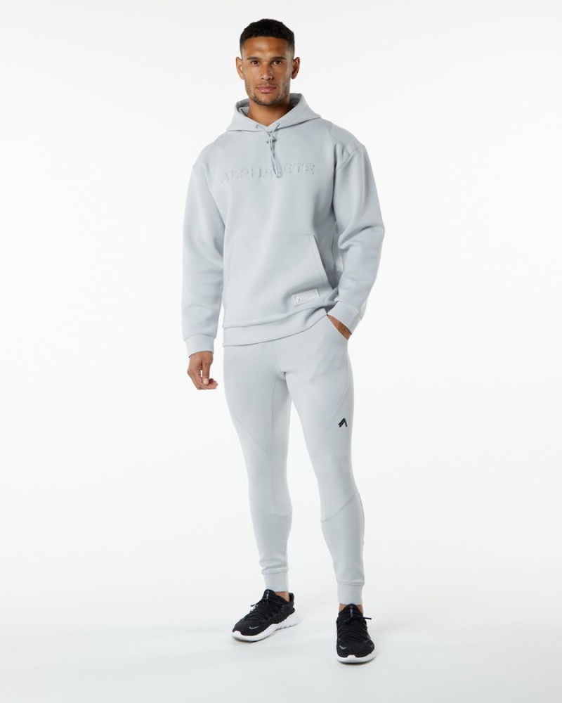 Alphalete ELMTS Uomo Felpa Con Cappuccio Grigie | 30ROTINDY