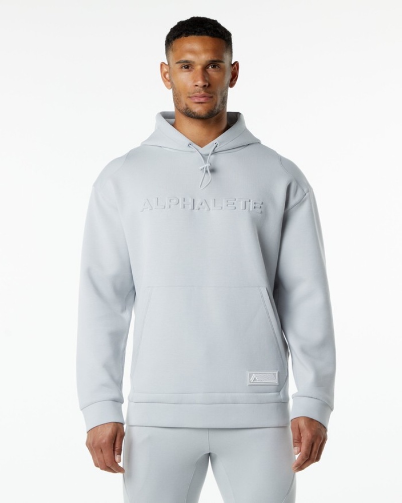 Alphalete ELMTS Uomo Felpa Con Cappuccio Grigie | 30ROTINDY