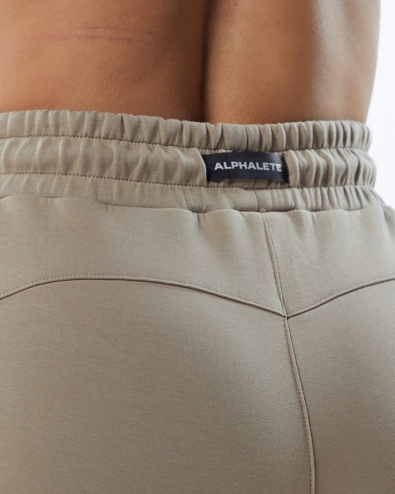 Alphalete ELMTS Zip Donna Pantaloni Jogger Marroni | 13LIBGVNO