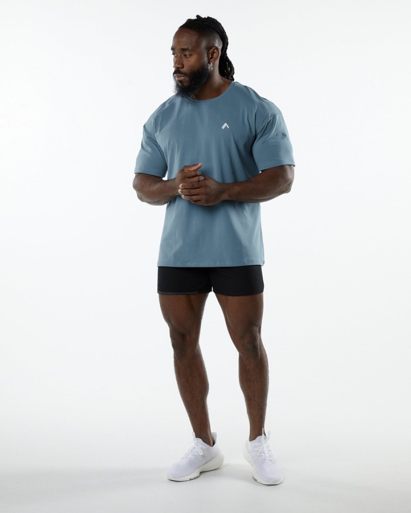 Alphalete Emblem Uomo Camicie Blu | 13FIJZYCN