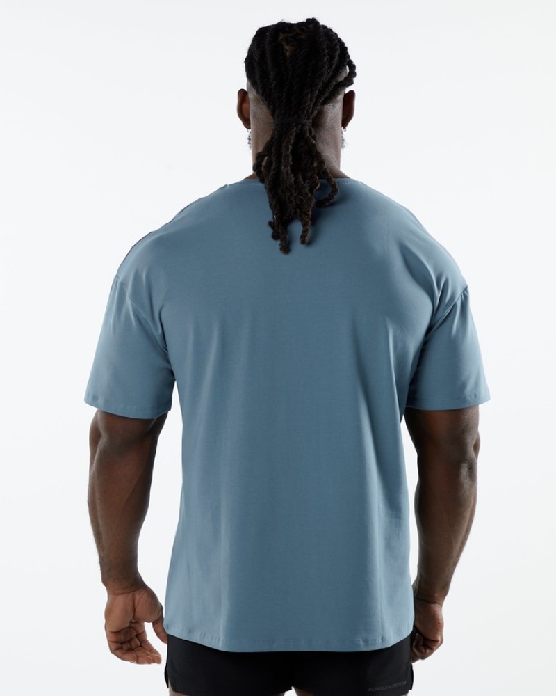 Alphalete Emblem Uomo Camicie Blu | 13FIJZYCN