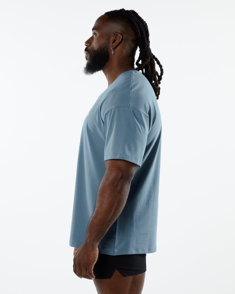 Alphalete Emblem Uomo Camicie Blu | 13FIJZYCN