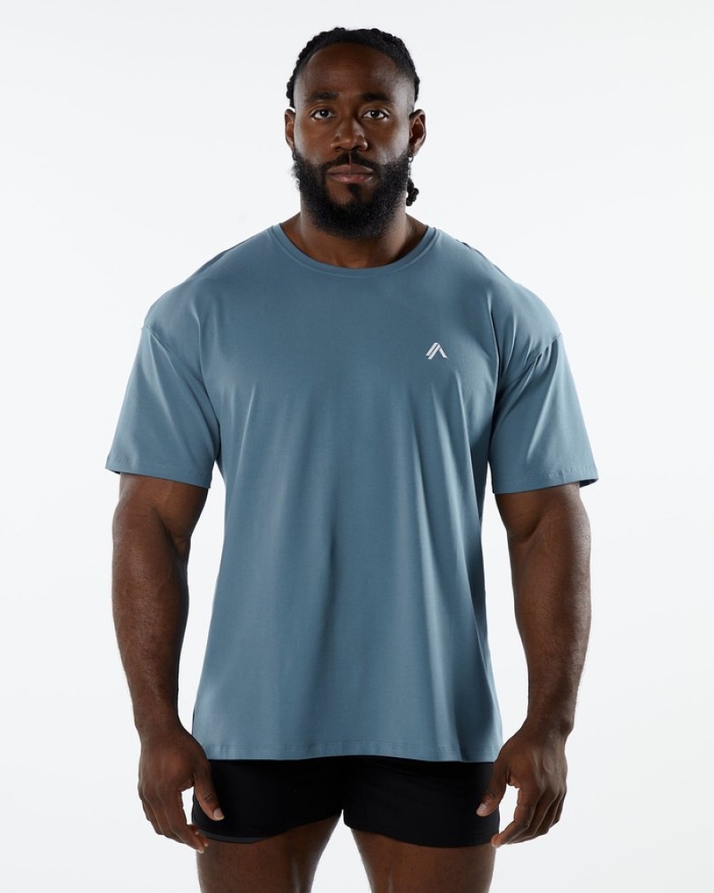 Alphalete Emblem Uomo Camicie Blu | 13FIJZYCN