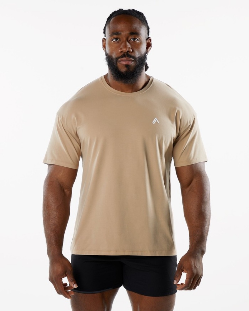 Alphalete Emblem Uomo Camicie Grigie Marroni | 85AMLNXJI