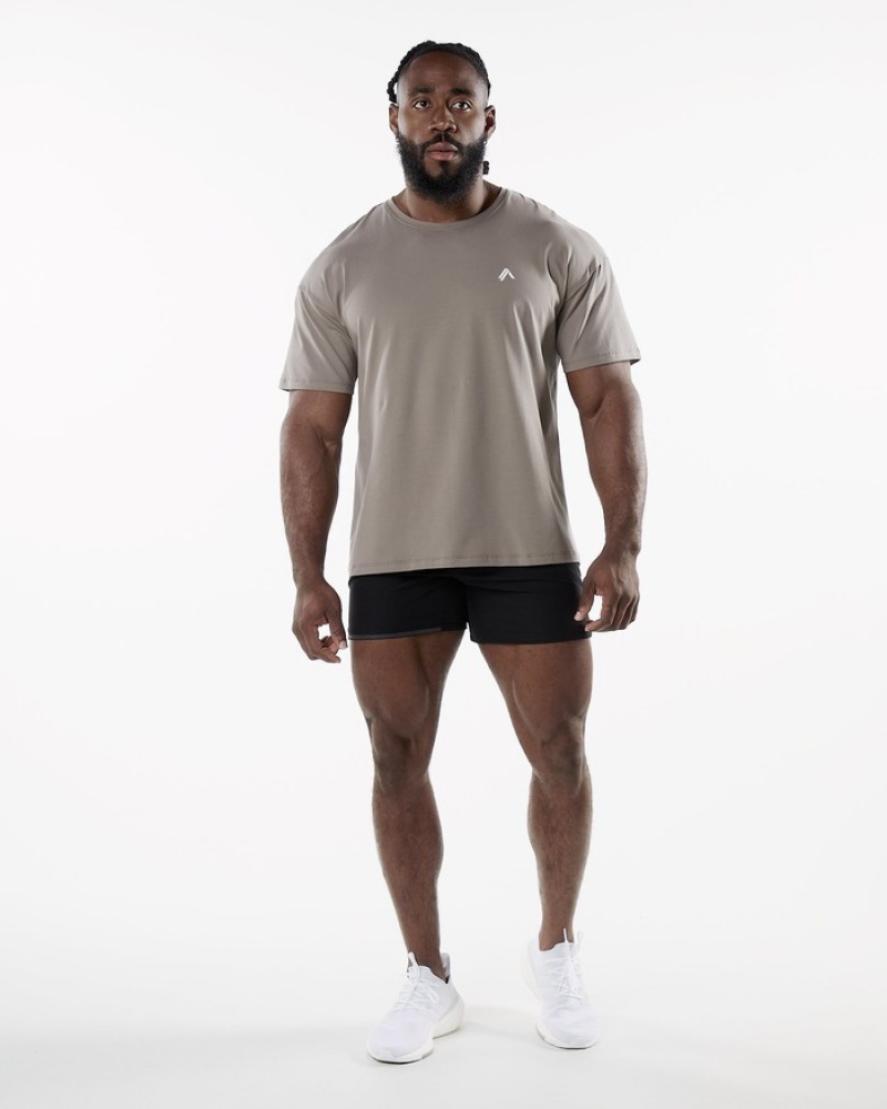Alphalete Emblem Uomo Camicie Grigie | 36OTUDNIH