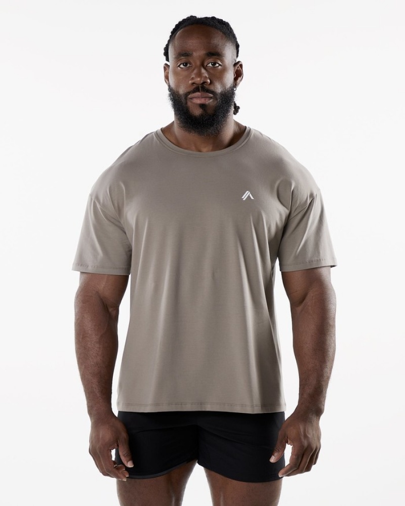 Alphalete Emblem Uomo Camicie Grigie | 36OTUDNIH